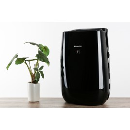 Máy lọc không khí Sharp FP-JM40V-B (20 - 30m2, PM 2.5, Bắt Muỗi)